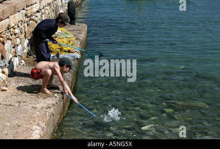 Griechischen jungen Fischen Stockfoto