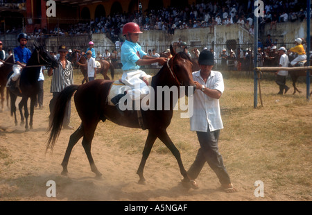 Phu Rennstrecke Tho in Ho-Chi-Minh-Stadt (Saigon) Vietnam wo Kind jockeys Miniatur Rennpferde und das Glücksspiel ist intensiv Stockfoto