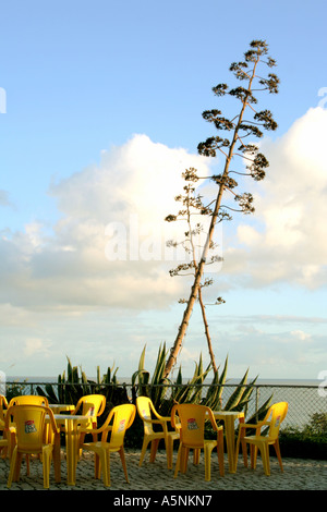 Strand Stühle warten auf Kunden in der Abendsonne Praia da Rocha Portimao Algarve Portugal Stockfoto