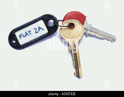 Zwei Schlüssel am Schlüsselring mit der Bezeichnung Flat 2A Stockfoto