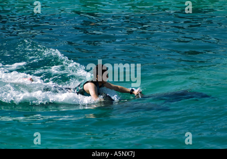 Besucher fahren Delphin Dolphin Discovery, Isla Mujeres, Quintana Roo Zustand, Yucatan, Mexiko Stockfoto