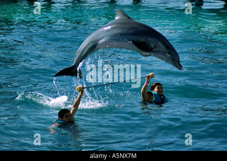 Besucher schwimmen mit Delfinen im Dolphin Discovery, Isla Mujeres, Quintana Roo Zustand, Yucatan, Mexiko Stockfoto