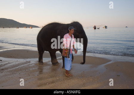 Der junge, 4-jährige asiatische Elefant „Rara“, der mit Mahoot, Reiter, Pfleger oder Trainer am Touristenstrand von Krabi in Thailand im Meer baden kann. Stockfoto