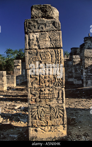 Grupo de Las Mil Columnas (1000 Spalten) Maya Ruinen in Chichen Itza Yucatan, Mexiko Stockfoto