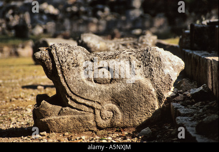 Kopf der Schlange Templo de Los Tableros (Tempel des Panels), Maya-toltekischen Ruinen in Chichen Itza Yucatan, Mexiko Stockfoto