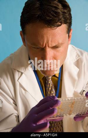 Forscher wird eine Mikrotiterplatte im Labor untersucht. Seine Forschung hilft Menschen länger gesünder leben. Stockfoto