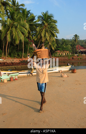 Indische kommerzielle Fischer seinen Fang an Land zu bringen, in Weidenkorb. Stockfoto