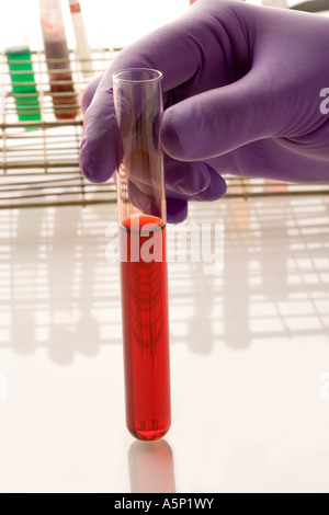 Labor Forschung. Stockfoto