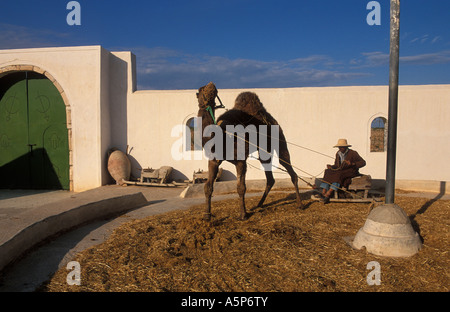 Demonstration der alten Anbaumethoden Guellala Museum Djerba Tunesien Stockfoto