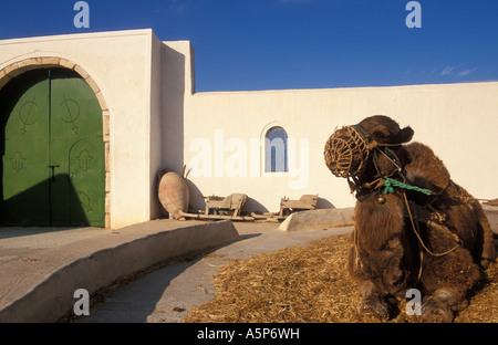 Demonstration der alten Anbaumethoden Guellala Museum Djerba Tunesien Stockfoto