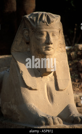 Menschen geleitet Sphinx in der Tempel von Luxor, Luxor, Ägypten Stockfoto