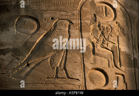 Detaillierten Schnitzereien in den Tempel von Luxor, Luxor, Ägypten Stockfoto