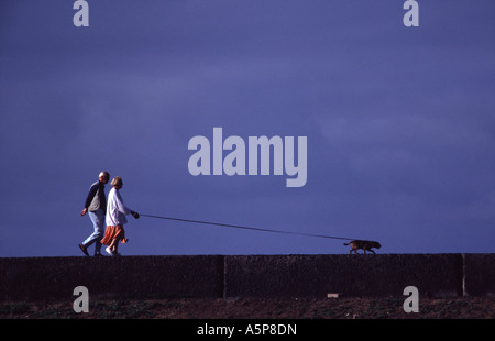 Hund mit einem Spaziergang mit seinem Meister, Teneriffa, Spanien Stockfoto