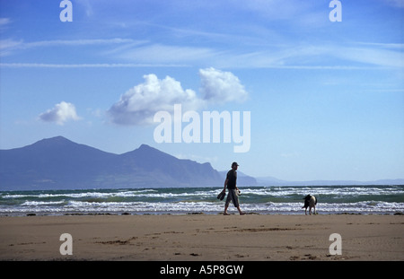 Dogwalker am Strand von Dinas Dinlle in der Nähe von Caernarfon Gwynedd Nord Wales UK Stockfoto