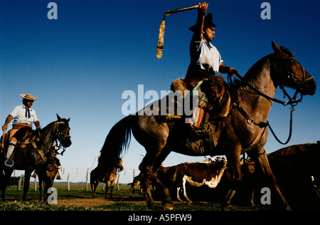 GAUCHOS HEREFORD-RINDER HÜTEN, IN EINEN CORRAL-STIFT-LA ESTELLA BAUERNHOF, ARGENTINIEN Stockfoto