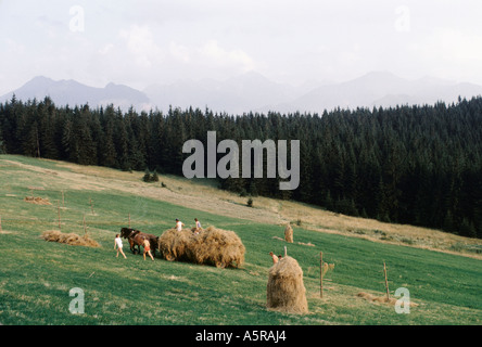 Männer junge Frauen Kinder zu Fuß neben Reiten ONTOP des GELADENEN Wagen gezogen durch das Sammeln von Pferd Heu TATRA-Gebirge, Tschechische Repub- Stockfoto