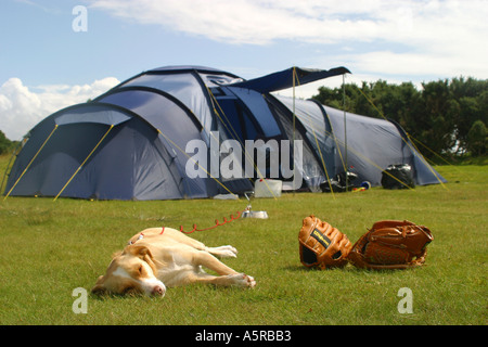 Zelt aufgeschlagen auf Campingplatz mit liegenden schlafenden Hund Stockfoto