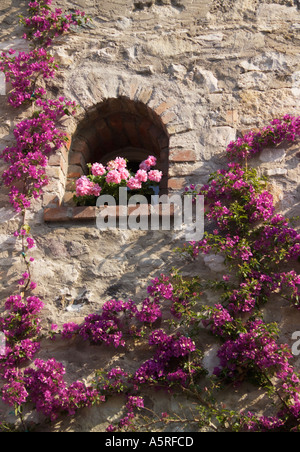 Alte Steinmauer und Blumen Sirmione Lombardei Italien Stockfoto