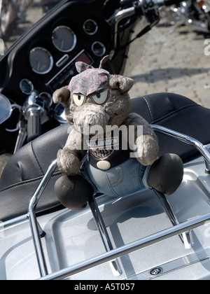 Ein Schwein sitzt auf der Rückseite ein Harley Davidson Motorrad das Schwein ist das Maskottchen der Harley Owners Group Stockfoto