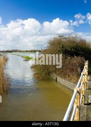 Blick über den Fluss Themse Hochwasser in Richtung Lechlade Gloucestershire UK Stockfoto