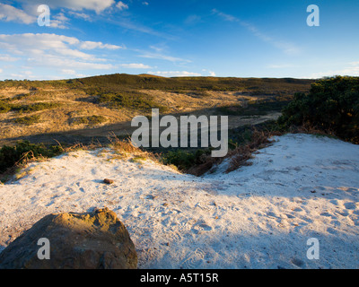 Blick Richtung schwarz unten aus Agglestone Gestein auf Godlingston Heide nationaler Natur Resrve Studland Purbeck Dorset UK Stockfoto