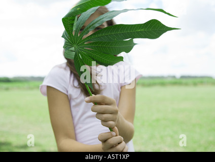 Mädchen hält Maniok Blatt vor Gesicht Stockfoto