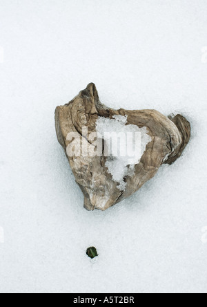 Stück Holz auf verschneiten Hintergrund Stockfoto