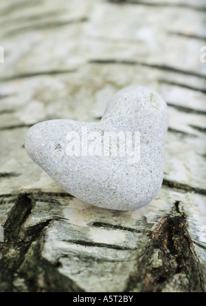 Herzförmige Stein auf Rinde Hintergrund Stockfoto