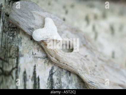 Stein auf Holz Hintergrund in Herzform Stockfoto