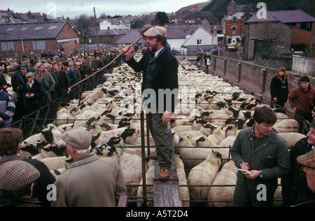 Auktionator bei wöchentlicher Schafauktion und Weihnachtsmarkt Knighton Shropshire und Powys Wales im Dezember 1985. 1980ER JAHRE UK HOMER SYKES Stockfoto