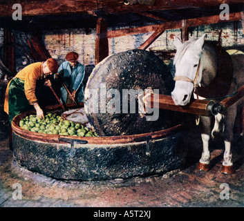 Pressung Apfelwein Äpfel 1940er Jahre Foto von der traditionellen Methode mit einem Pferd angetrieben Presse in einer alten Scheune Stockfoto