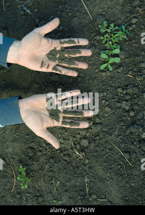 Hände des Mannes mit Erde bedeckt Stockfoto