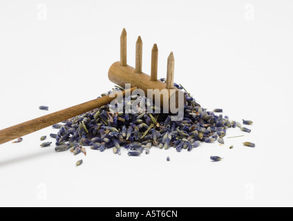 Haufen von getrocknetem Lavendel und Rechen Stockfoto