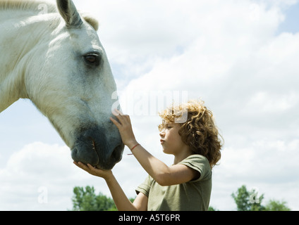 Junge Petting Pferd Stockfoto