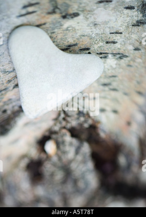 Herzförmigen Stein auf Rinde Stockfoto