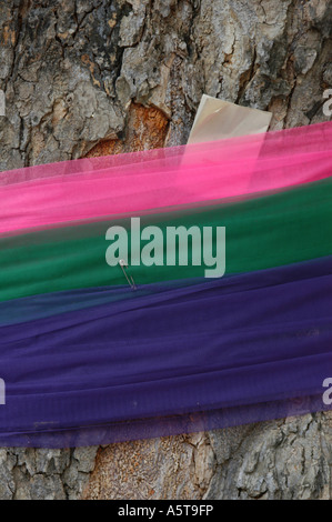 Buddhistischen heiliger Baum gewickelt in Bändern in Nakhon Pathom, Thailand Stockfoto