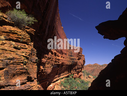 Kings Canyon, Australien VI Stockfoto