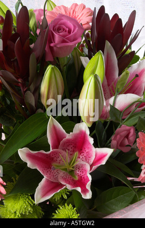 Rosa Blüten mit Lilien und Rosen. Stockfoto