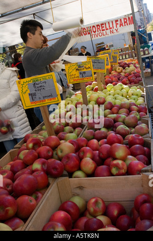 Äpfel zum Verkauf Bauern Markt Union Square Manhattan New York City Stockfoto