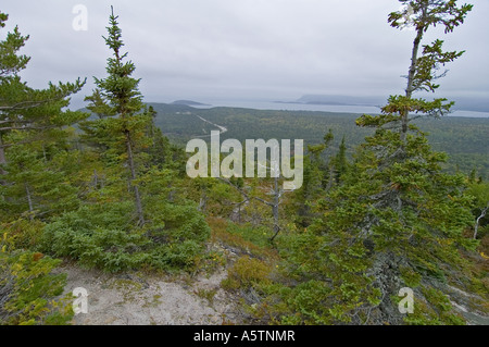 Broad Cove Mtn Trail Cape Breton Highlands NP Nova Scotia Kanada Stockfoto