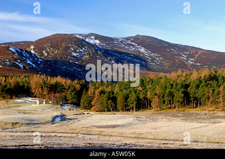 Lochnagar Berg mit frühen Winterschnee auf Royal Deeside Aberdeenshire.  XPL 4986-466 Stockfoto