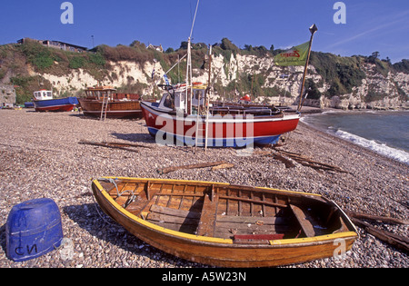 Bier, East Devon, Angelboote/Fischerboote sind vom Traktor bis zum Strand frei von jedem Seegang geschleppt.   XPL 4920-460 Stockfoto