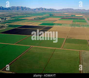 BEWÄSSERT WÜSTE; BRAUN MASSE IST NOCH NICHT BEPFLANZT, GELB-GRÜNE FELDER SIND KOPFSALAT, HELLGRÜN IST LUZERNE / ARIZONA Stockfoto