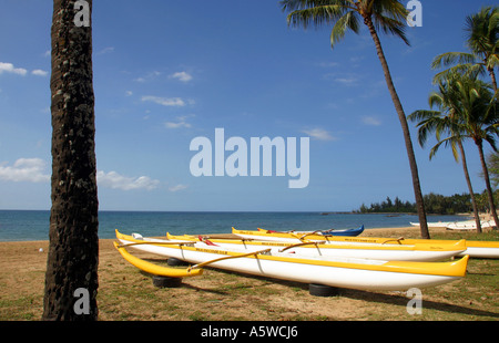 Ausleger-Kanus am Strand von Haleiwa Nordküste Oahu Hawaii USA Stockfoto