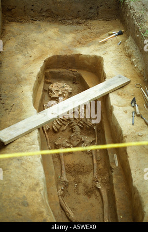 Skelett ausgegraben in Jamestown, Virginia Stockfoto