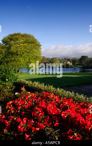 Malone Golf Club, Belfast, Nordirland, 18. Grün Stockfoto