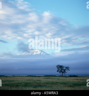 Schneebedeckte Gipfel des Mount Kilimanjaro im Morgengrauen von Amboseli Lodge, Amboseli Nationalpark, Kenia, Ostafrika. Afrikanische Landschaft Stockfoto