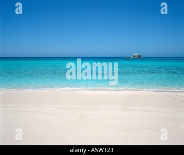 Sandbank mit Ausflugsschiff in Ferne, Great Barrier Reef, Cairns, Nord-Queensland, Australien Stockfoto