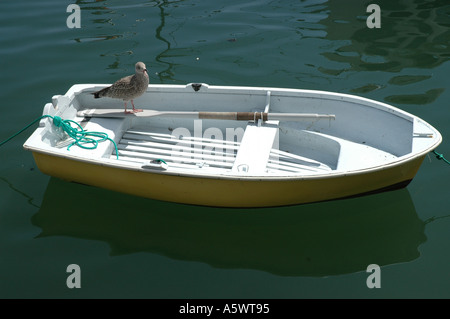 eine Möwe auf einem Ruderboot Stockfoto