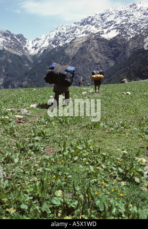 Träger, tragen von schweren Lasten auf Wanderung im Garwhal-Himalaya in Indien Stockfoto